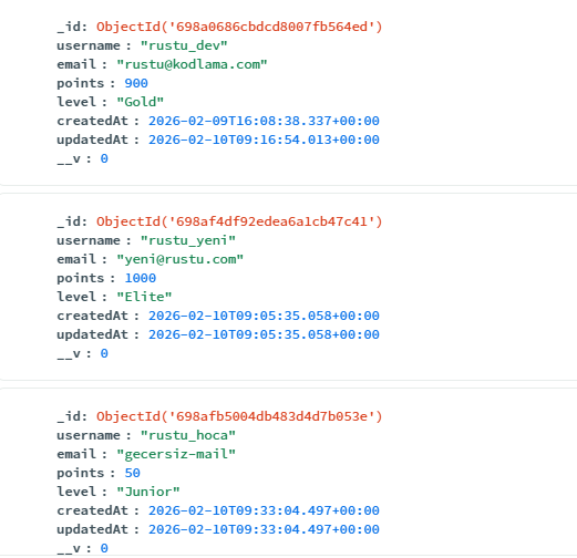 Joi Validation Hata Yönetimi